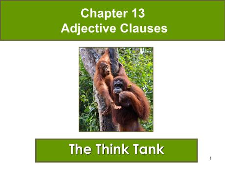 Bài giảng Chuyên đề ngữ pháp tiếng Anh - Ôn tập: Adjective clauses