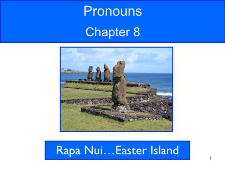 Bài giảng Chuyên đề ngữ pháp tiếng Anh - Ôn tập: Pronouns Bài giảng Chuyên đề ngữ pháp tiếng Anh - Ôn tập: Pronouns