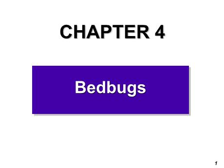 Bài giảng Chuyên đề ngữ pháp tiếng Anh - Reading: Bedbugs Bài giảng Chuyên đề ngữ pháp tiếng Anh - Reading: Bedbugs