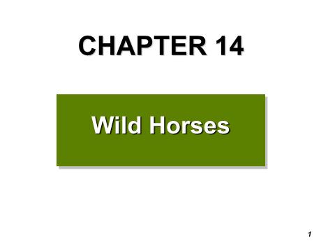 Bài giảng Chuyên đề ngữ pháp tiếng Anh - Reading: Wild horses Bài giảng Chuyên đề ngữ pháp tiếng Anh - Reading: Wild horses