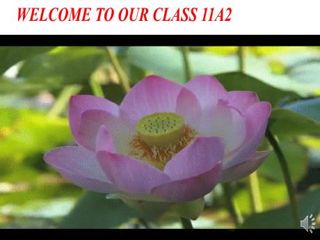 Bài giảng Chuyên đề Sinh hoạt chuyên môn - Unit 3: Cities of the future (Lesson 1) - Tiếng Anh 11