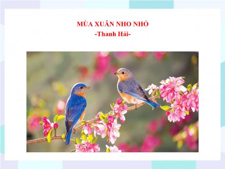 Bộ 48 Bài giảng Chuyên đề Ôn thi vào 10 - Bài 17: Mùa xuân nho nhỏ - Ngữ văn 9
