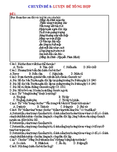 Chuyên đề Luyện đề tổng hợp - Bồi dưỡng HSG Ngữ văn 7 Chuyên đề Luyện đề tổng hợp - Bồi dưỡng HSG Ngữ văn 7