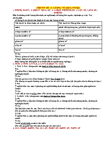 Chuyên đề Ôn thi vào Lớp 10 - Chuyên đề 14: Lượng từ