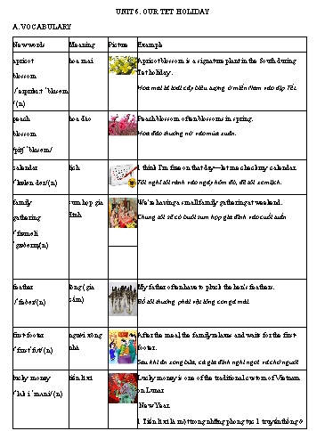 Giáo án Luyện tập Chuyên đề nâng cao ngữ pháp tiếng Anh 6 - Unit 6: Our Tet holiday