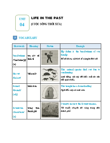 Giáo án Luyện tập Chuyên đề nâng cao ngữ pháp tiếng Anh 9 - Unit 4: Life in the past