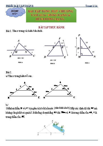 Phiếu bài tập dạy thêm - Chuyên đề: Bài tập tổng hợp tam giác đồng dạng, hình đồng dạng - Toán 8 Kết nối tri thức